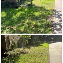 Before and after photo of a residential lawn mowing job