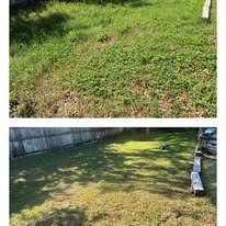 Before and after photo of a driveway edge and lawn cleanup