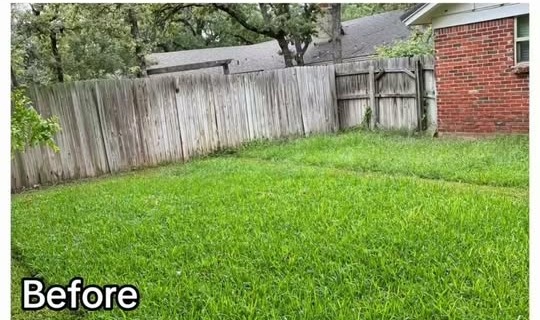 Overgrown backyard before Lonestar Elite Services lawn cleanup
